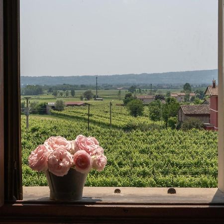 Fiori&Vigne Di Cecilia Marcon Villa Farra di Soligo Exterior photo