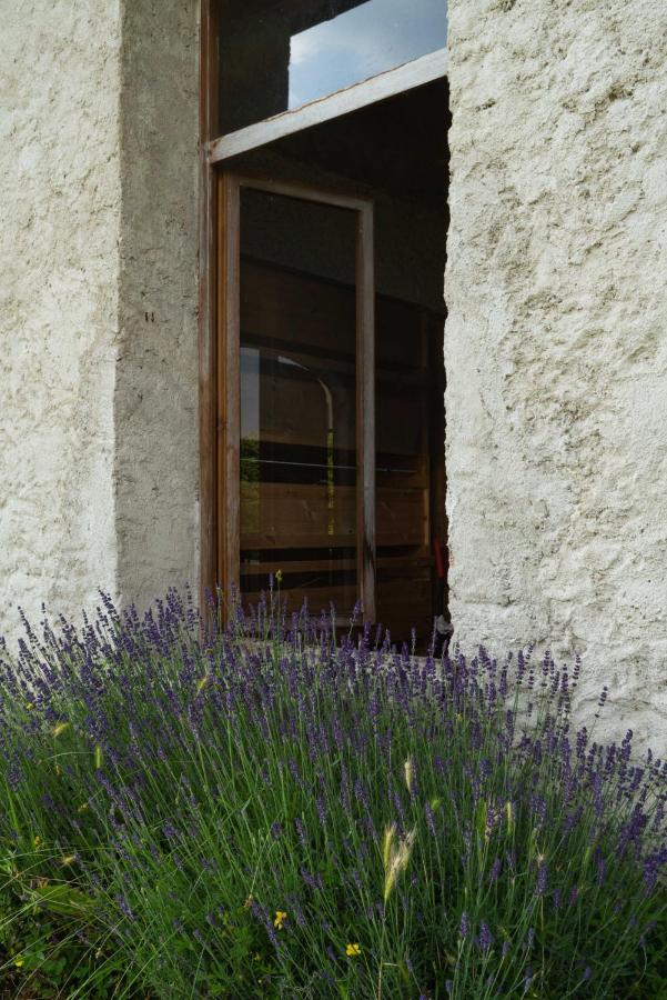 Fiori&Vigne Di Cecilia Marcon Villa Farra di Soligo Exterior photo