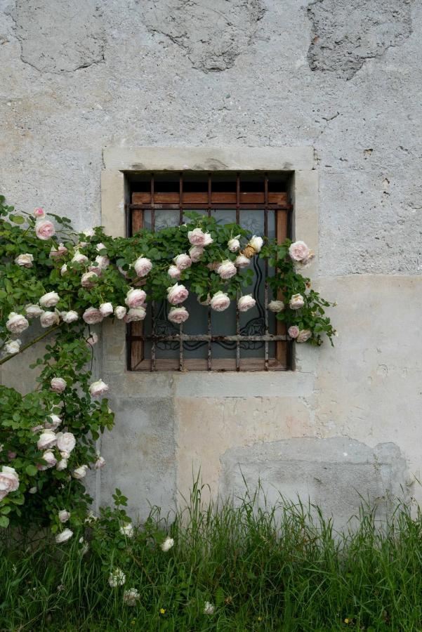 Fiori&Vigne Di Cecilia Marcon Villa Farra di Soligo Exterior photo